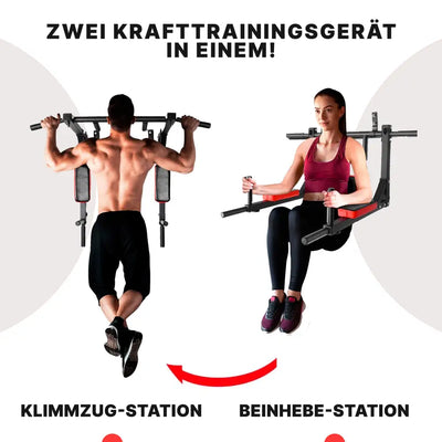 Workoutstation 2 in 1 Trainingsgerät angenehmes und ergonomisch geformtes Rückenpolster mehrere Griffvariationen - Sport - Knight